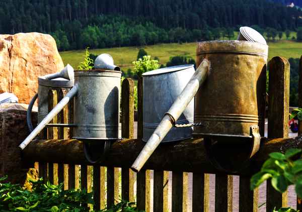 Zinkkannen im Bauerngarten