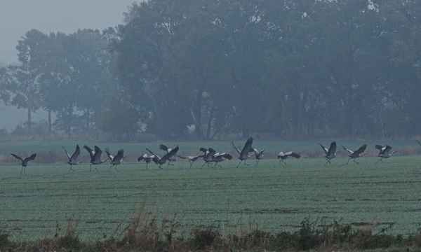 abflug