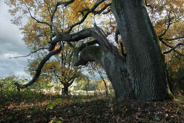 Wunderschöner Herbst