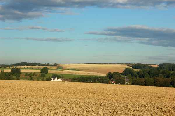 Der Herbst und seine Schönheit