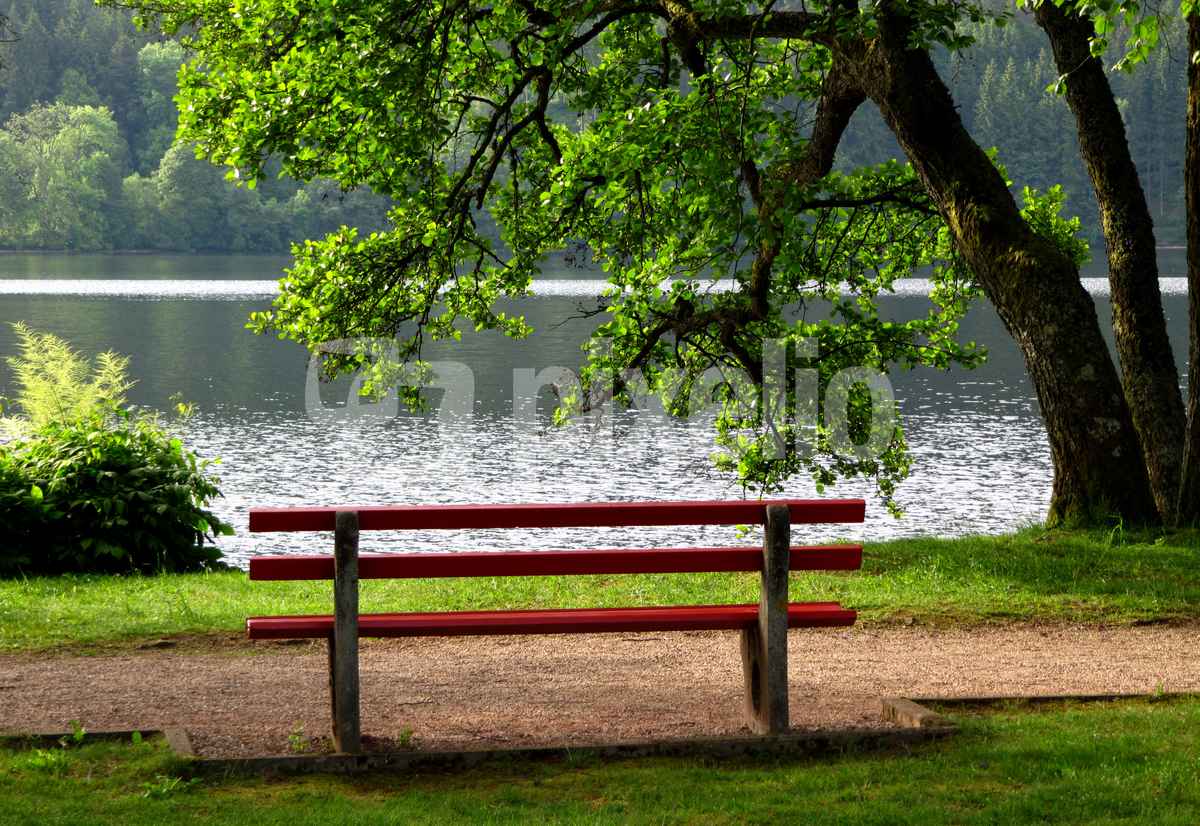 Titisee mit Ruhebank