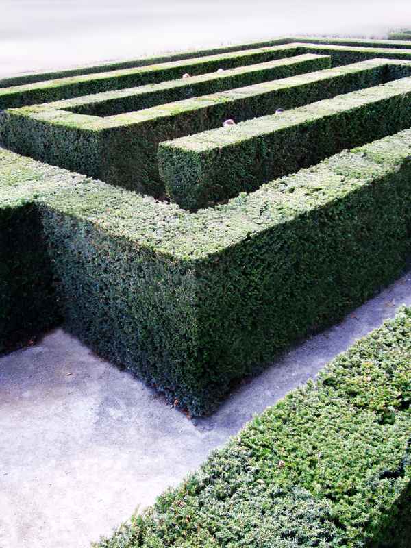 Irrgarten hoch