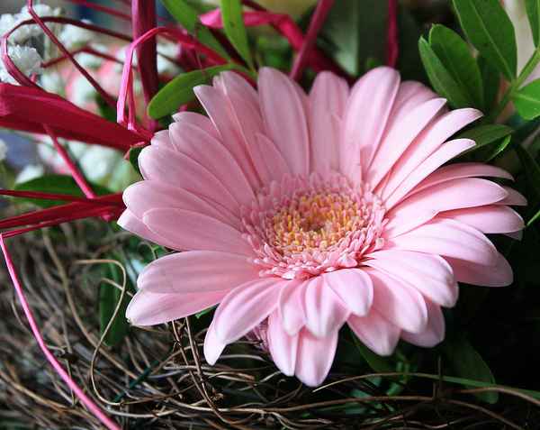 ZEIT FÜR ROMANTIK III