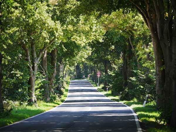 Die Deutsche Alleenstraße