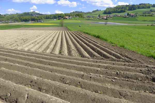 Gefurcht: quer und längs