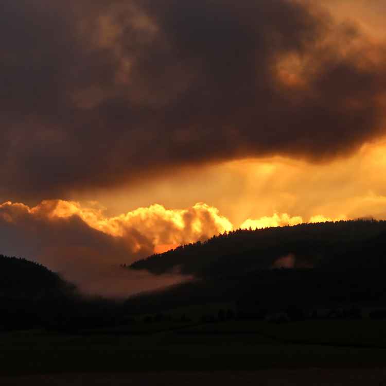 Goldener Oktober