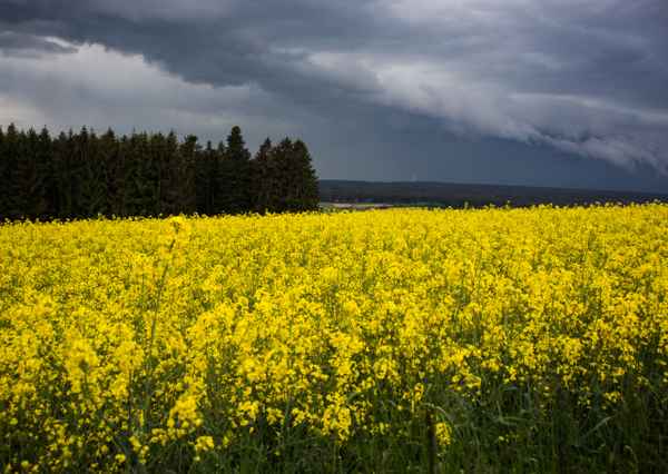 Schlechtwetter-Mai 2013
