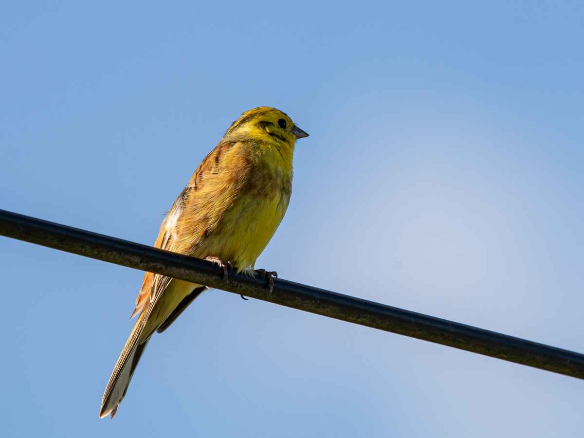 Bad in der Nachmittagssonne