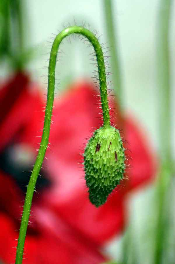 Kopf nicht hängen lassen