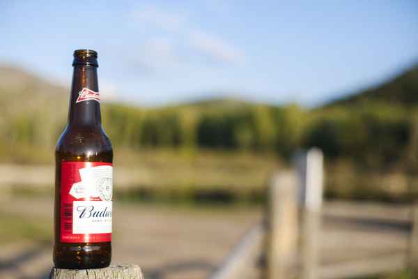 flasche leer