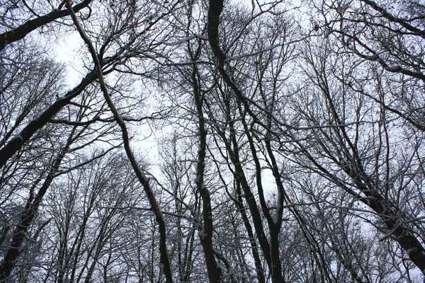 WINTERWALD III
