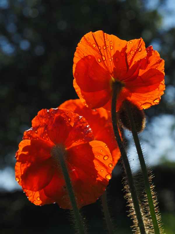 nach regen folgt sonne