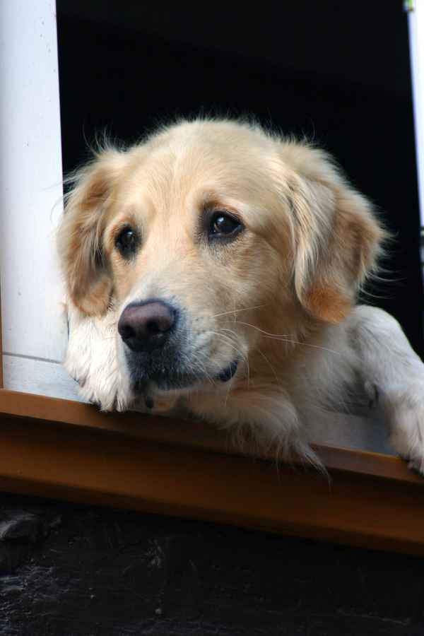 Kommst Du bald wieder?