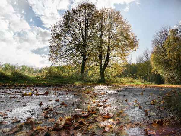 Aprilwetter im Herbst