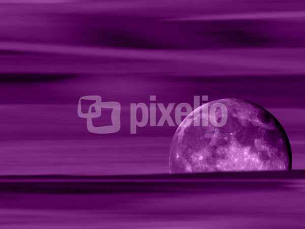 Wallpaper Purple