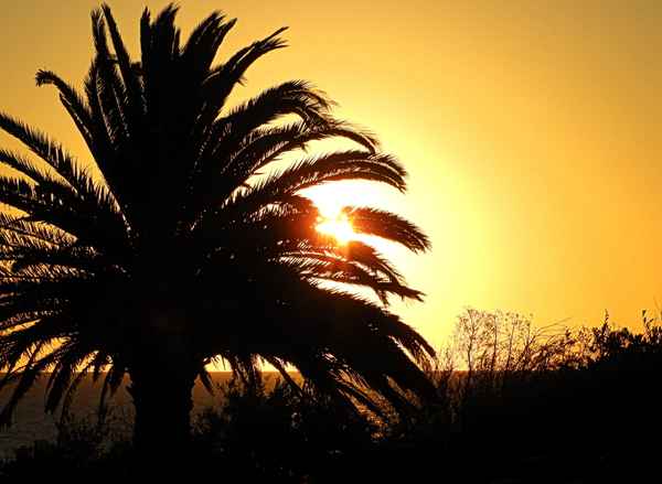 Sonnenuntergang an unserem Strand in La Floresta, Uruguy