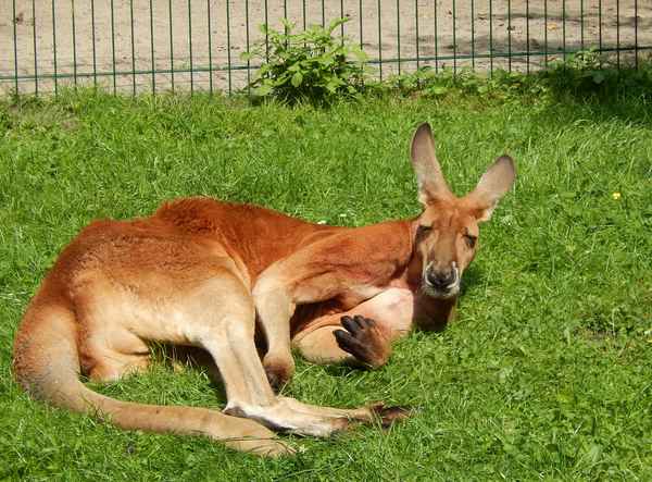 Einfach mal abhängen