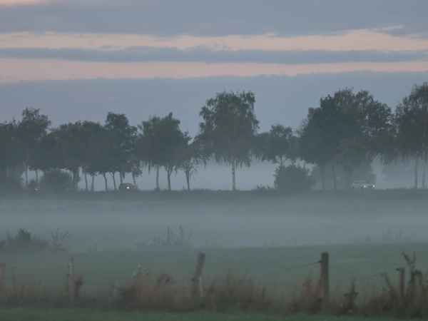 im frühnebel zur arbeit