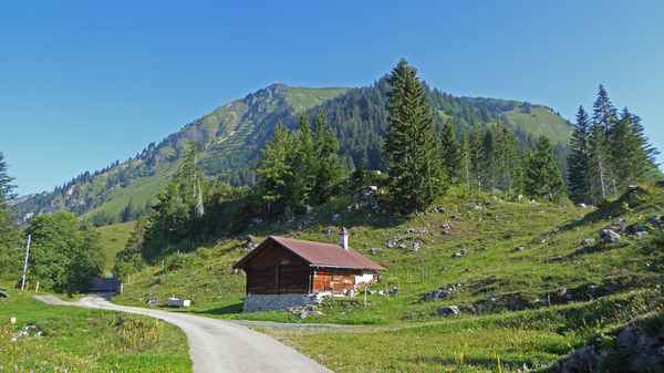An Alpweiden vorbei