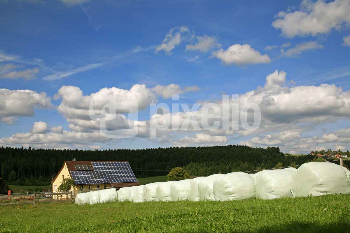 Landwirt mit Weitsicht