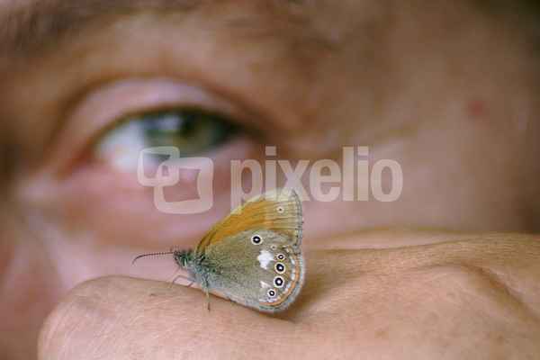 Auge in Auge