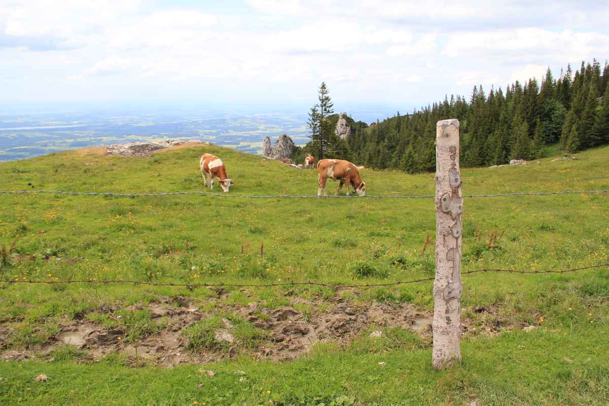 Urlaub in Bayern