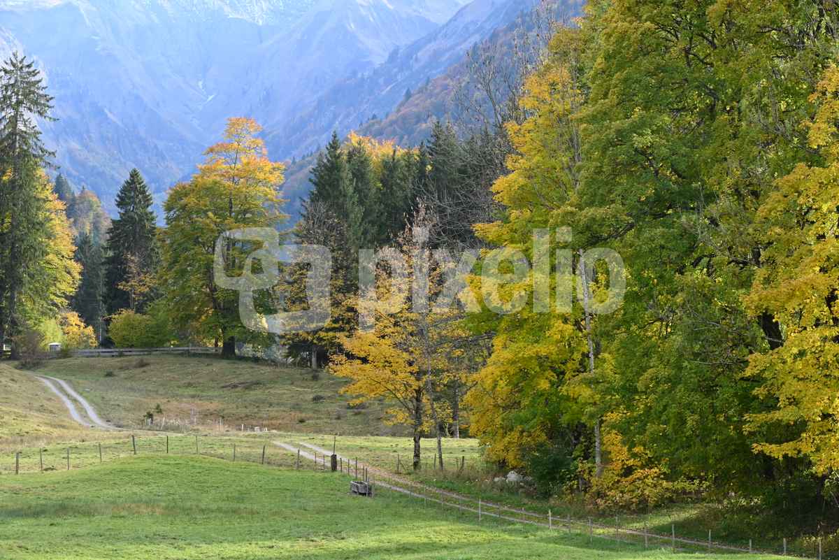 Herbst in den Bergen