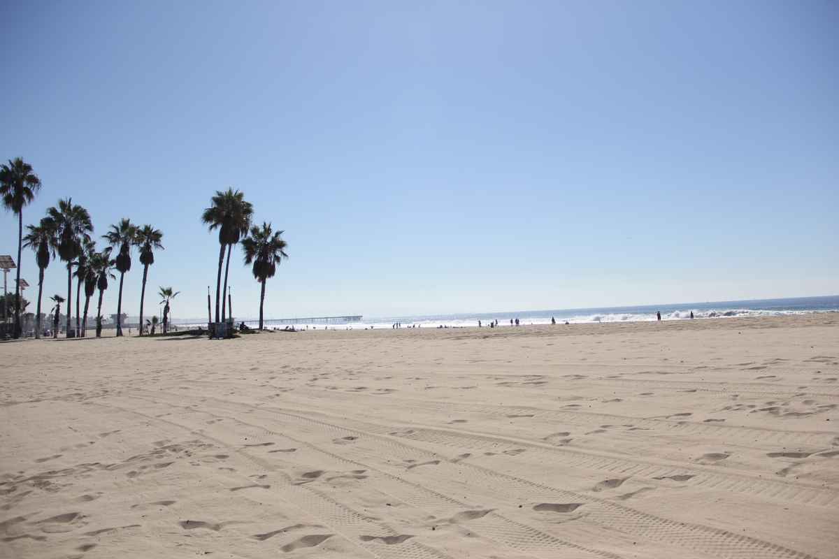 Venice Beach