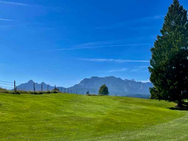 Weide vor Karwendel