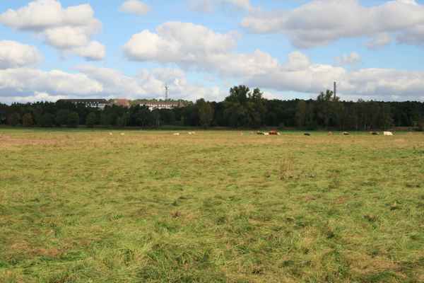 Herbstspaziergang 5