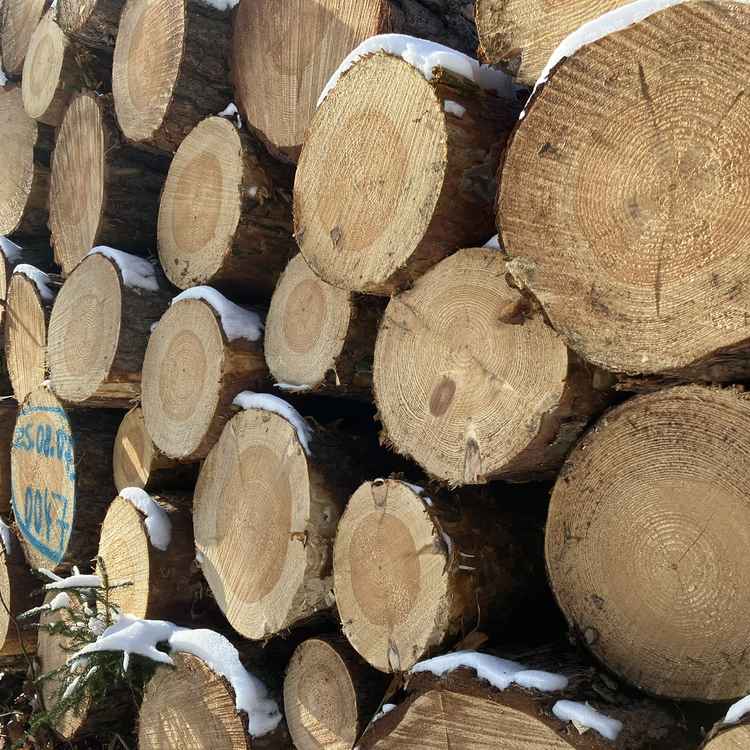 Holzstapel