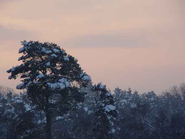 abenddämmerung im schnee