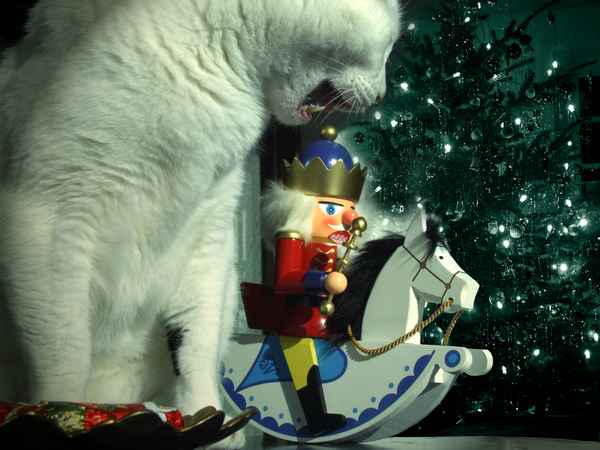 Das zieht mir echt die Schuhe aus!