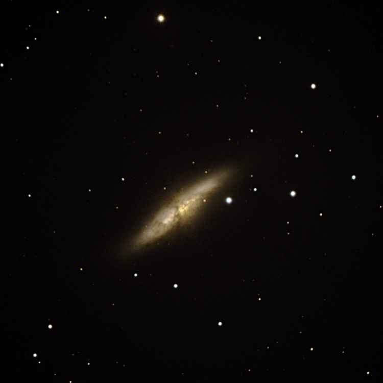 M82