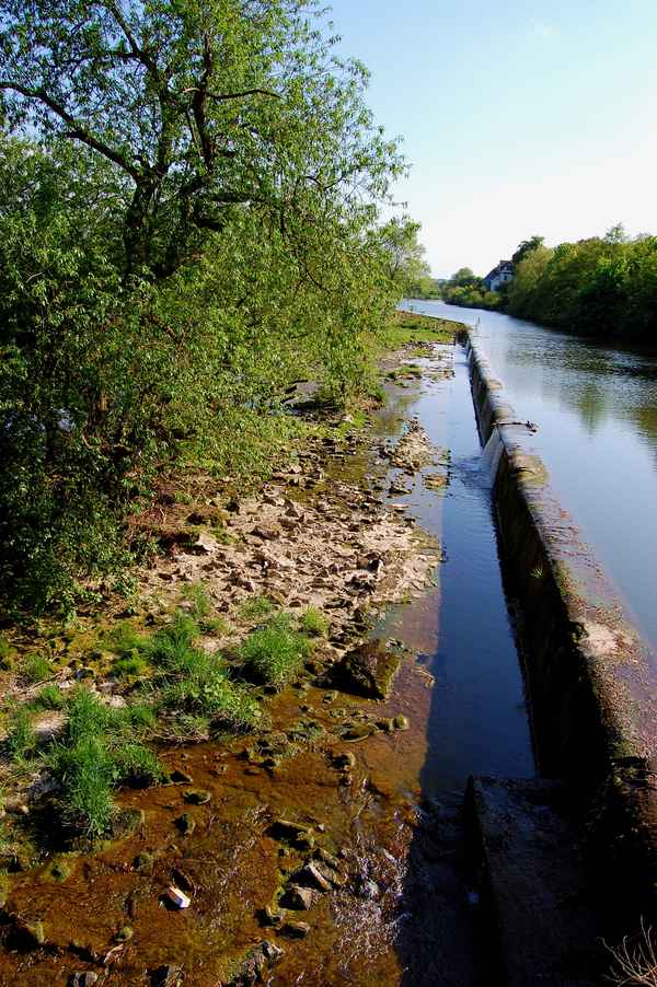 Die Ruhr bei Mülheim #4