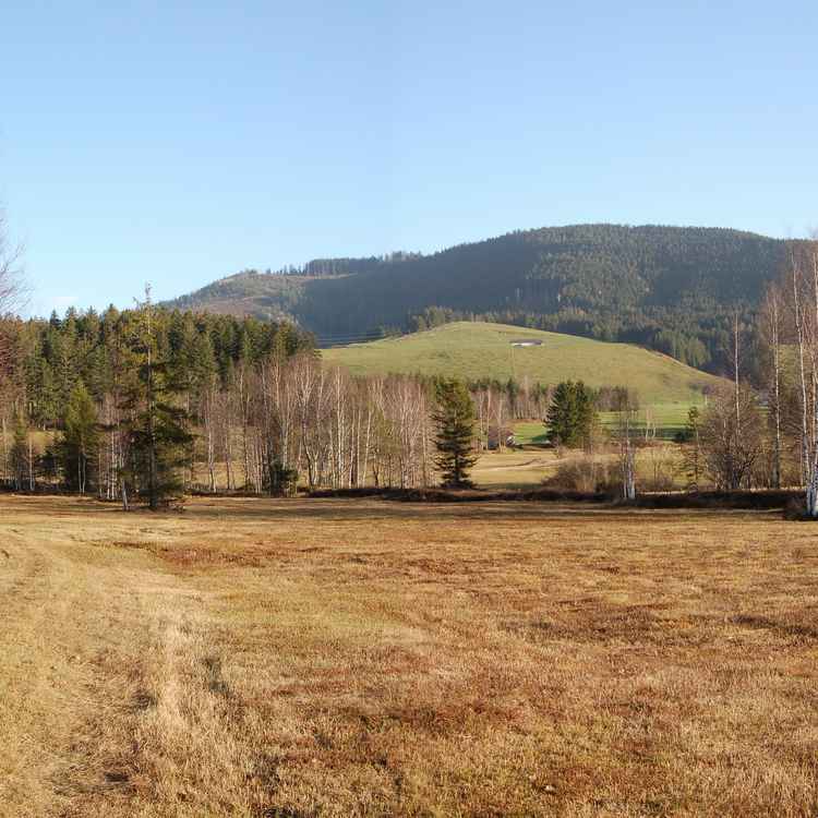 Hochmoorlandschaft