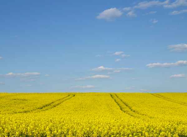 Es darf wieder  "gerapst" werden 2