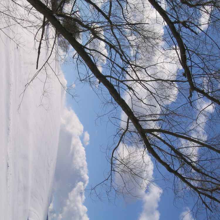 Schneelandschaft