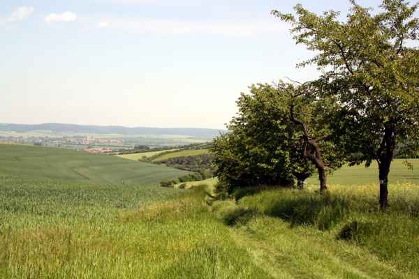Feldweg