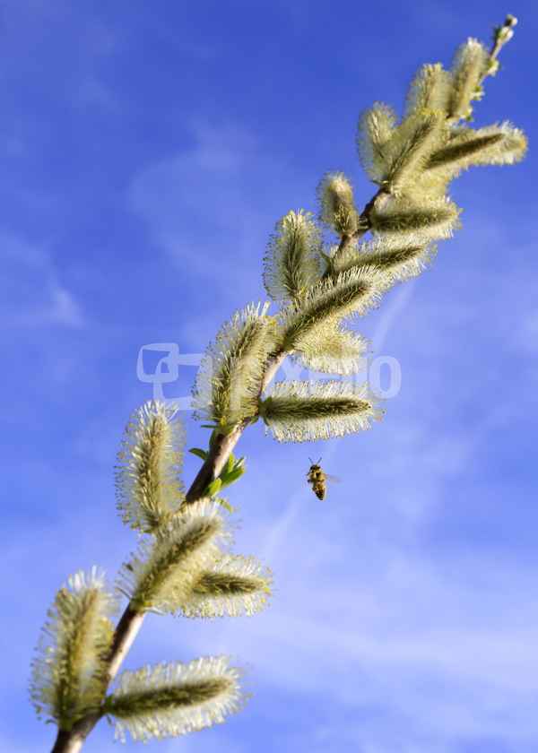 im anflug