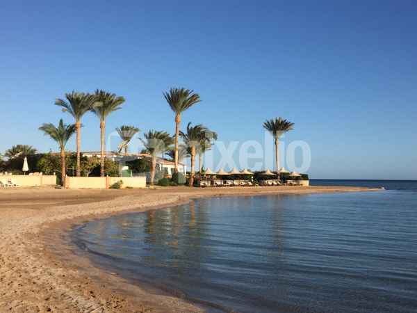 Morgenlicht am Palmenstrand