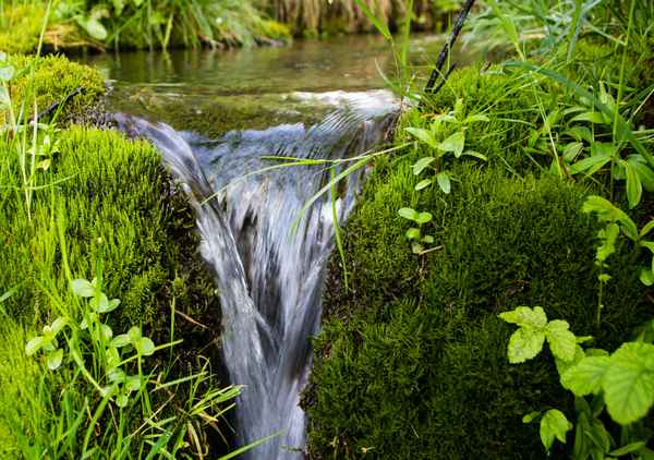 Quellwasser am See 2