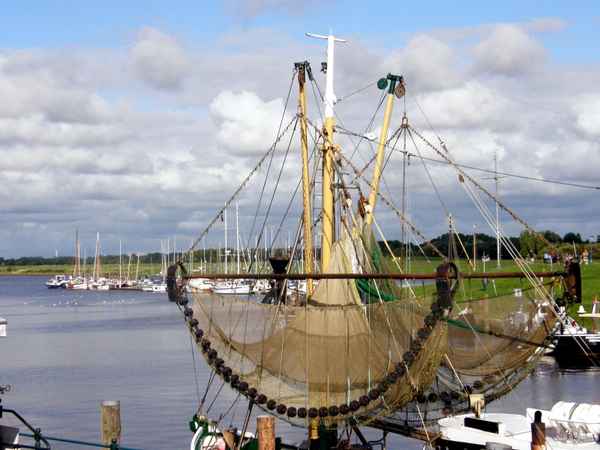 Fischernetz im Hafen
