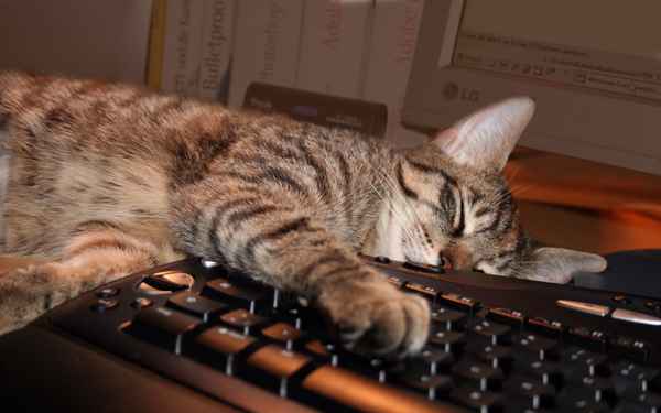 ... mal Pause machen