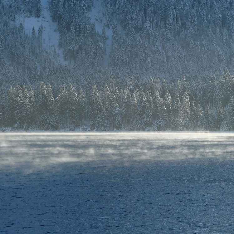Winter am Plansee