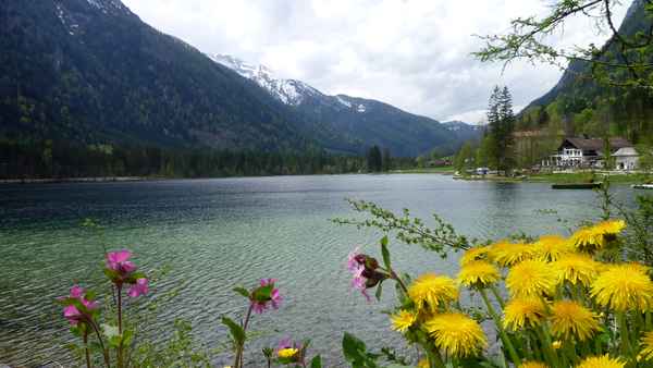 Hintersee im Frühling