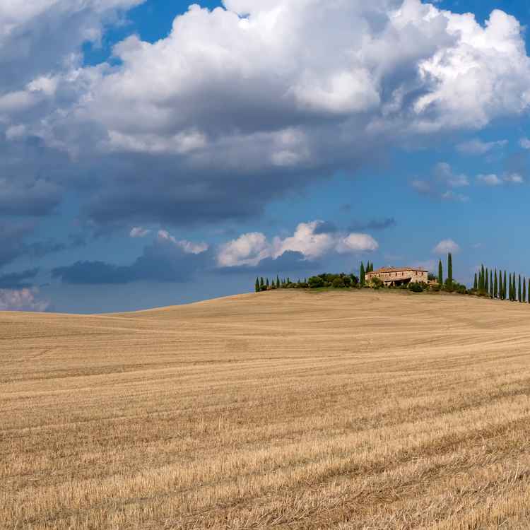 Val d'Orcia 2