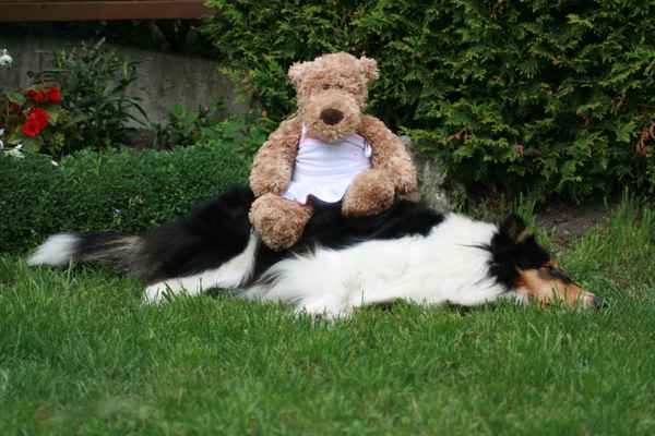 Jessy und der Teddy
