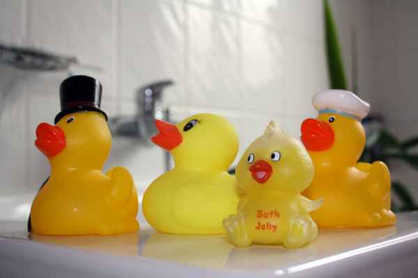 Quitscheentchenfamilie