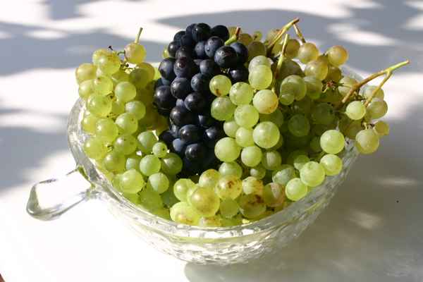 Weintrauben
